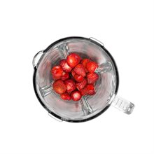 Champion "BL310" Blender