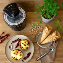 Champion "GM210" Glassmaskin